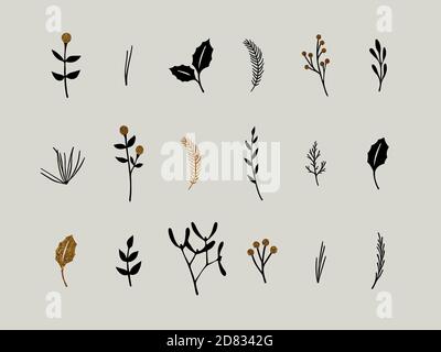 Cute collection of Christmas vector hand drawn winter flowers and plants. Gold and black colors. Stock Vector