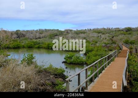 Walking tour Sendero de la Isla  Travel in Ecuador and Galapagos