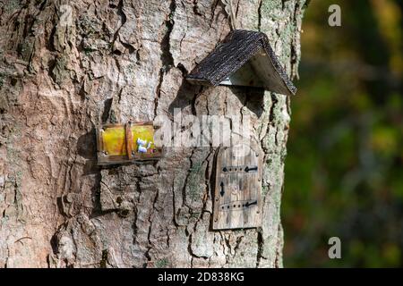 A fairy house in a large oak tree. There's a small roof attached to the exterior bark of the tree. Stock Photo