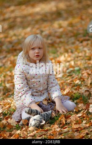 Adorable blond girl sitting on yellow fallen leaves playing with her favorite toy grey cat on a beautiful autumn day. Playing outdoors in the park. Stock Photo