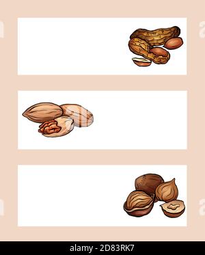 Set of horizontal banners with colored cartoon nuts. Peanut, hazelnut and pecan. Objects separate from the background. Vector template for menus, site Stock Vector