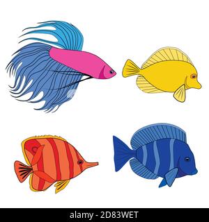 Set of color contour different tropical fish. Fish rooster, pennant fish, royal angel. Marine inhabitants. Vector colorful outline silhouette for icon Stock Vector