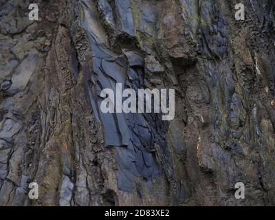 a texture of natural slate stones Stock Photo
