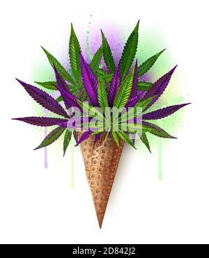 Waffle cone with green and purple, realistic hemp on white background. Bright cannabis. Stock Vector
