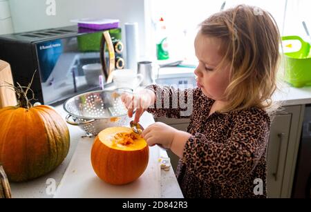 Young three year old girl at home in the kitchen carving out pumpkin ready for Halloween celebrations UK Stock Photo