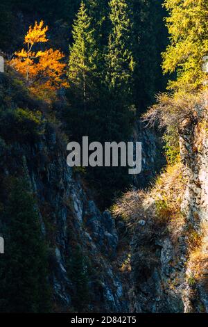 Beautiful colorful autumn landscape Stock Photo