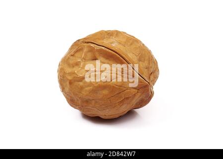 ripe brown walnut isolated on white background Stock Photo