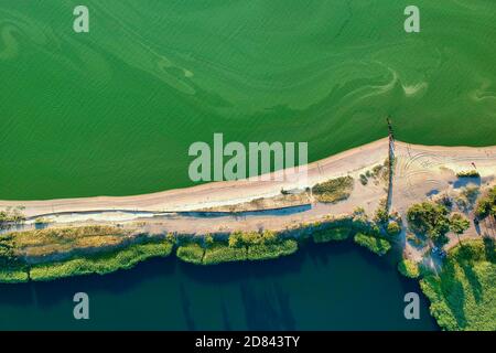 Algae bloom season. Polluted green water of a shallow gulf in summer, aerial view Stock Photo
