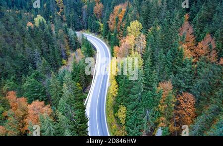 Empty road in the mountains through a dense forest, top view. Stock Photo
