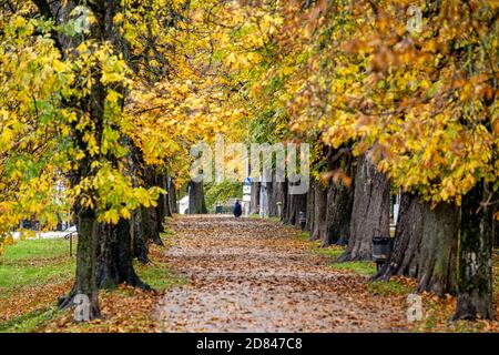 Pfarrkirchen, Germany. 27th Oct, 2020. There is an empty path in the city centre between trees with autumnally coloured leaves. In view of extremely increased corona numbers, strict exit restrictions now apply in the Lower Bavarian district of Rottal-Inn. Credit: Armin Weigel/dpa/Alamy Live News Stock Photo