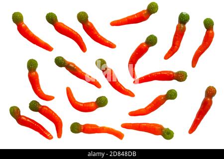 Wilko gummy carrots isolated on white background - gummy fruit flavour sweets in a carrot shape Stock Photo