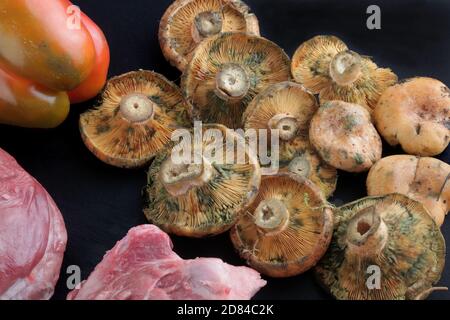 seasonal forest mushrooms typical from pines in the mediterranean Stock Photo