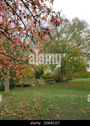 Eltham Palace, Elthan, London, England Stock Photo