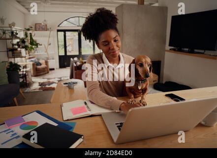 Happy african woman working at home using laptop during quarantine sitting with dog Stock Photo
