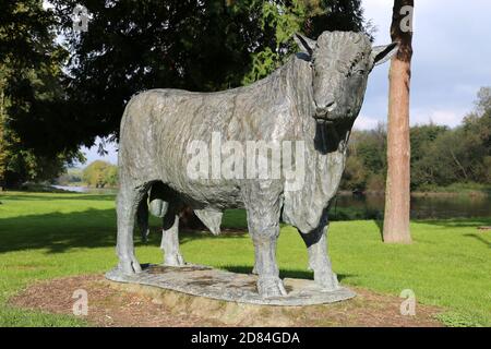 Life-size Welsh Black Bull statue, Groe Park, The Strand, Builth Wells, Brecknockshire, Powys, Wales, Great Britain, United Kingdom, UK, Europe Stock Photo