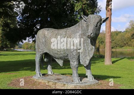 Life-size Welsh Black Bull statue, Groe Park, The Strand, Builth Wells, Brecknockshire, Powys, Wales, Great Britain, United Kingdom, UK, Europe Stock Photo