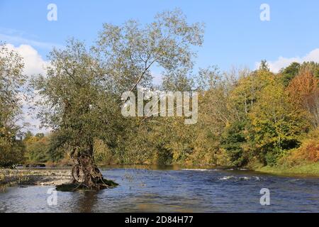 River Wye, Wye Valley Way riverside walk just north of Builth Wells, Brecknockshire, Powys, Wales, Great Britain, United Kingdom, UK, Europe Stock Photo