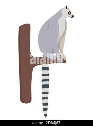 Lemur sitting on tree. Cute animal in cartoon style isolated on white background. Stock Vector