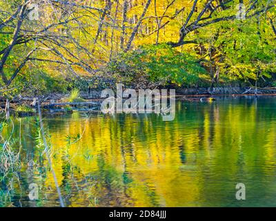 Lake coast reflection Autumnal scenery in Plitvice lakes national park situated in Croatia Europe