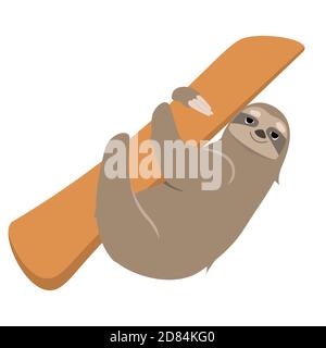 Sloth climbing tree. Lazy animal in cartoon style isolated on white background. Stock Vector
