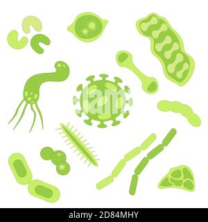 Vector set of microorganisms. Different bacteria and germs in flat style. Stock Vector