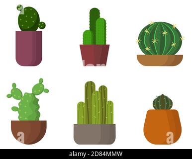 Cactus set vector design illustration isolated on white background 1844289  Vector Art at Vecteezy