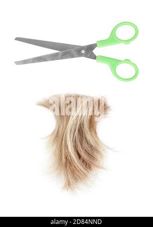 Blond lock of hair, metal open scissors white background isolated closeup, cut off natural blonde hair curl, steel shears, hair snip haircut hairstyle Stock Photo