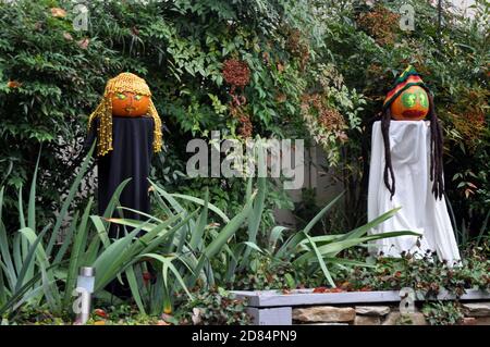 2 Pumpkins dressed in Jamaican Costumes for Halloween Stock Photo