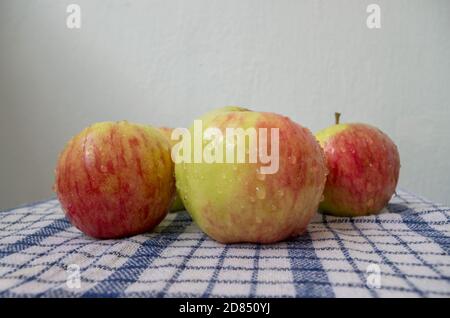 Pile of washed red-green apples, with water drops on peel, lying picturesquely on white waffle fabric tablecloth checkered with blue color stripes. Stock Photo