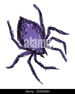 Spider in hand drawn style painted with purple brush strokes. Stock Vector