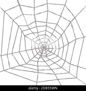 Isolated spider web in orb structure in lines over white background. Stock Vector