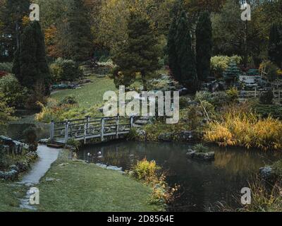 The bridge over the pond in the Japanese Gardens in Preston's Avenham Park Stock Photo