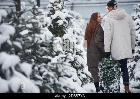 Young couple walking with new christmas tree for the holidays outdoors Stock Photo