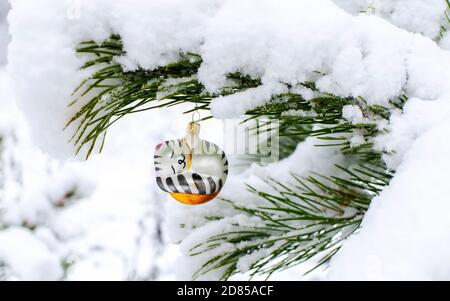 Christmas background with a Christmas tree toy of a sleeping cat on a snow-covered pine branch in a winter forest with a copy space. New year holiday, Stock Photo