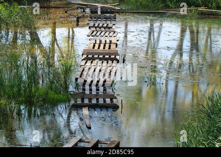 Crossing a pond made of wooden pallets. Homemade bridge across the water. Stock Photo