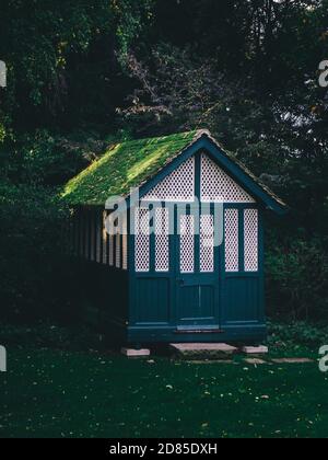 A lonely cabin in the woods. Overgrown and covered with moss. Stock Photo