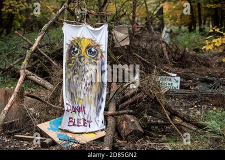 Dannenrod, Germany. 27th Oct, 2020. 'Danni stays' is written on a banner on a barricade built from tree trunks in the Dannenröder Forst. In protest against the continued construction of the Autobahn 49, activists have been waiting in the forest for more than a year. Credit: Boris Roessler/dpa/Alamy Live News Stock Photo