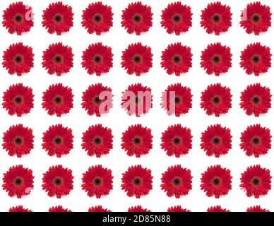 Flower seamless pattern isolated on white, seamless texture or background Stock Photo