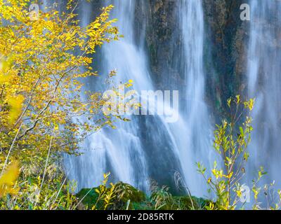 Fluid Water flowing pouring pour waterfalls waterfall long exposure behind Autumnal scenery in Plitvice lakes national park situated in Croatia Europe