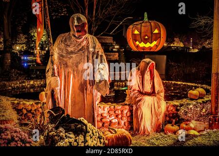 Soltau Germany 24th Oct 2020 The Heide Park Resort In Soltau Celebrates Halloween For Families And Horror Fans Here You Can Experience Rides In The Dark Or Get Scared In A Horror