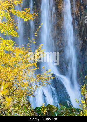 Fluid Water flowing pouring pour waterfalls waterfall long exposure behind Autumnal scenery in Plitvice lakes national park situated in Croatia Europe