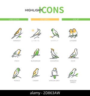 Pet birds - modern line design style icons set Stock Vector