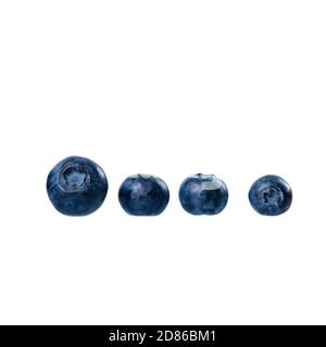 Fresh berries blueberry isolated on white background. Food concept. Stock Photo
