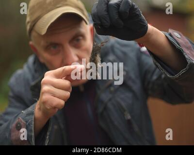 A man holding a dead mouse in a hand, selective focus, outdoor shot Stock Photo