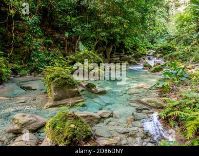 Reach Falls River, Portland Parish, Jamaica Stock Photo