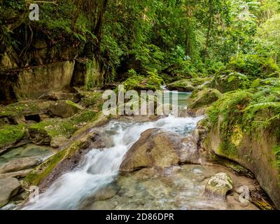 Reach Falls, Portland Parish, Jamaica Stock Photo