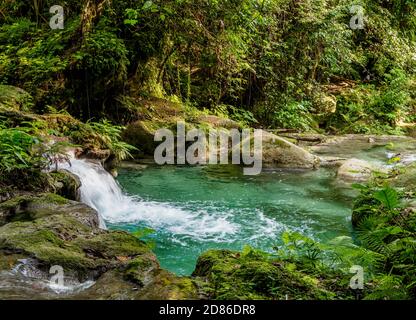 Reach Falls, Portland Parish, Jamaica Stock Photo