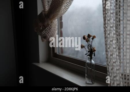 dried roses by the winter window Stock Photo