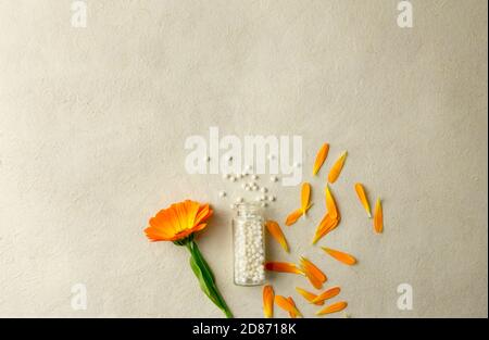 Flat lay view of transparent bottle jar lie over and round homeopathy pills globules scattered on rustic beige background, pot margold blossoms. Stock Photo