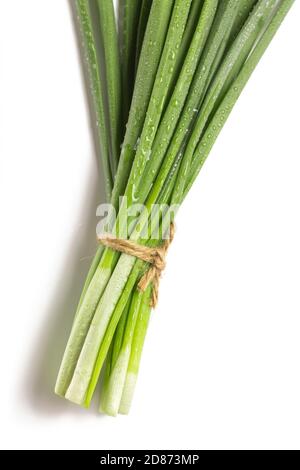 Chives bunch close up isolated on white background, close up Stock Photo